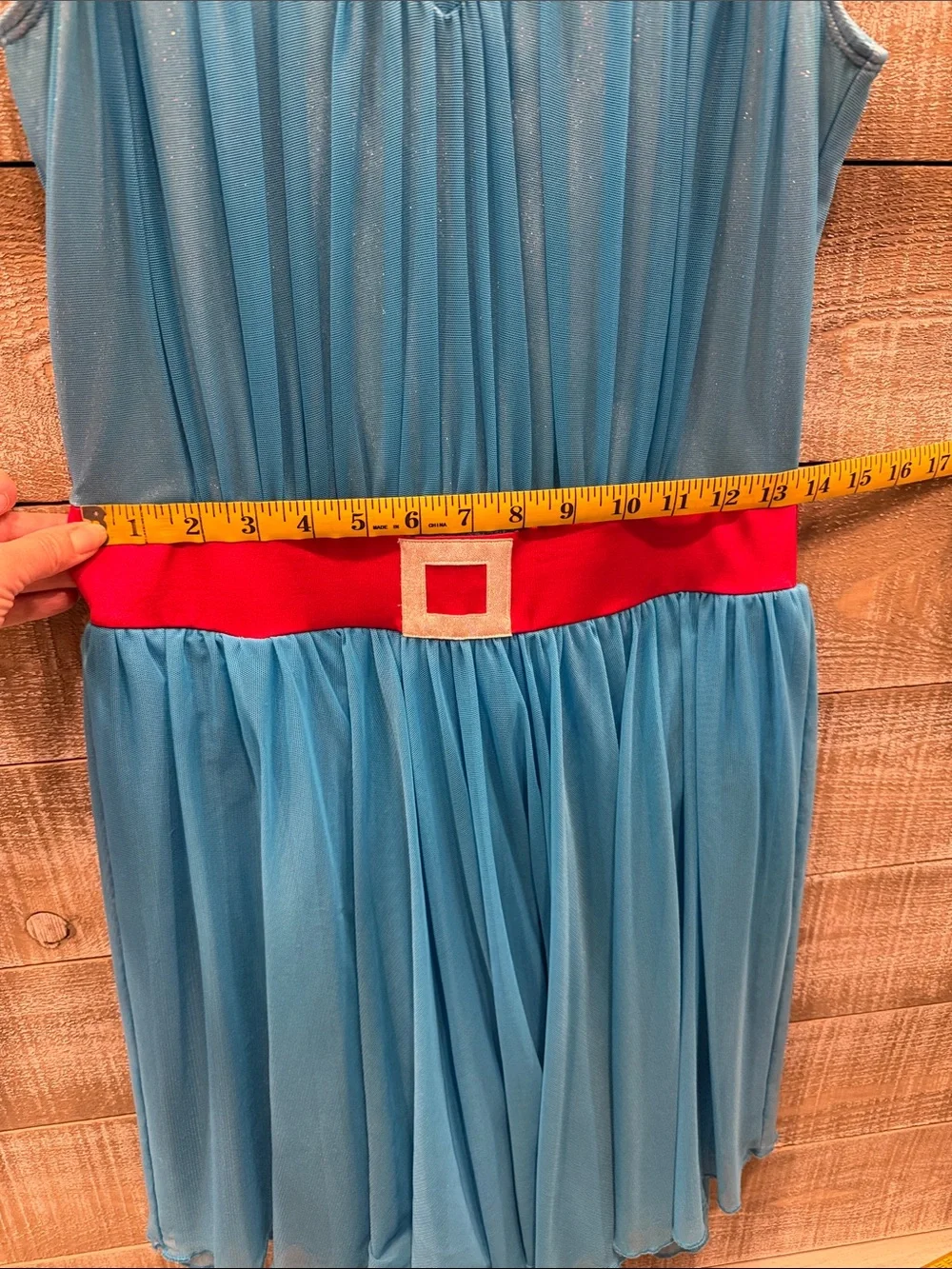 The Lineup Adult L Blue Tulle Dress with Red Collar and Belt
